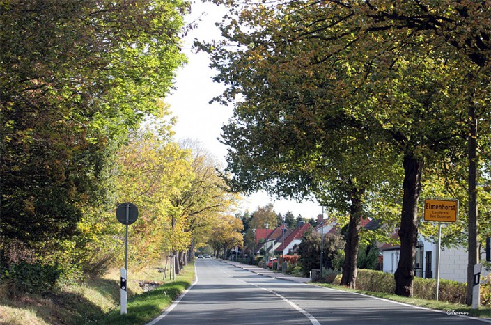 Gemeinde Elmenhorst Lichtenhagen Gemeinde Elmenhorst Lichtenhagen
